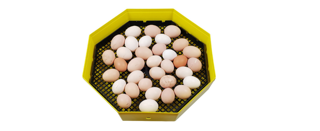Systém otáčení vajec CLEO 5 pic